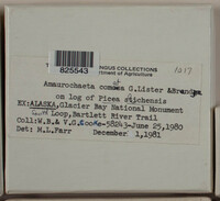 Image Associated With the Occurence